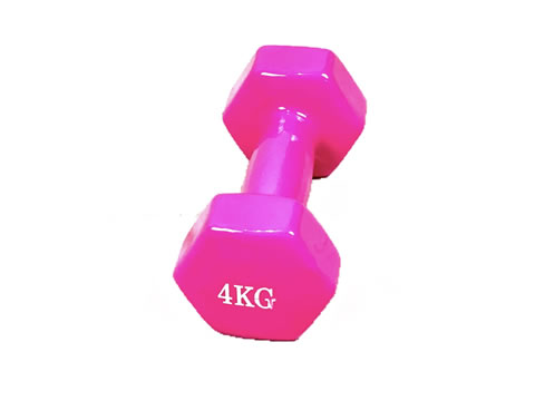 Vinyl Dipped Dumbbell 4kg